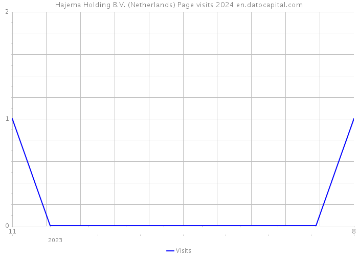 Hajema Holding B.V. (Netherlands) Page visits 2024 