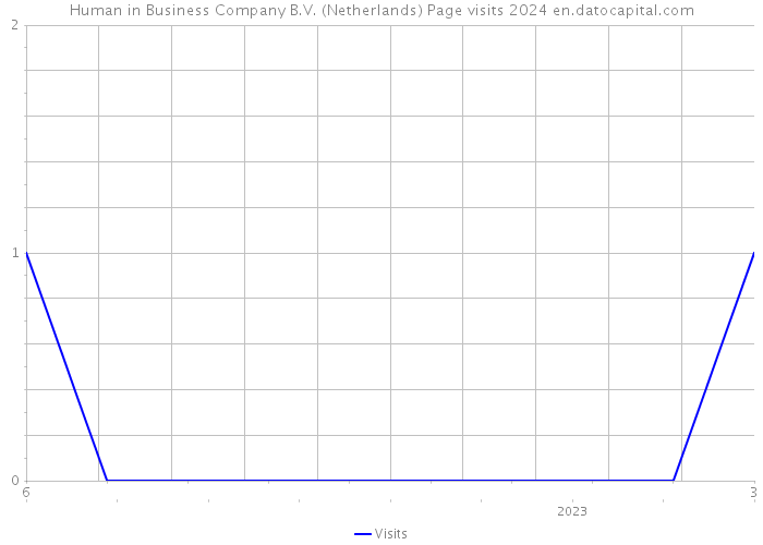 Human in Business Company B.V. (Netherlands) Page visits 2024 