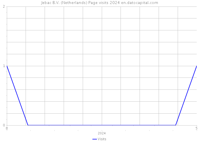 Jebac B.V. (Netherlands) Page visits 2024 