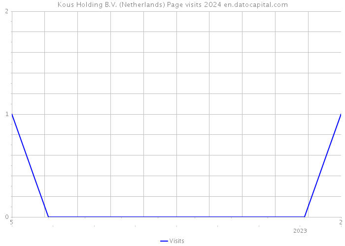 Kous Holding B.V. (Netherlands) Page visits 2024 