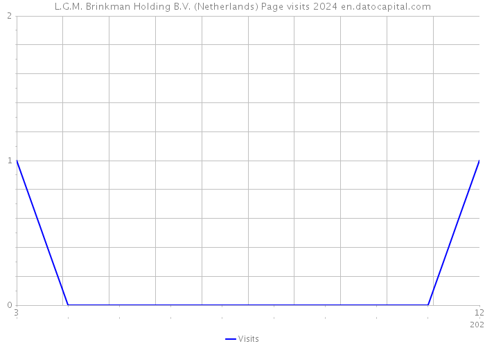 L.G.M. Brinkman Holding B.V. (Netherlands) Page visits 2024 