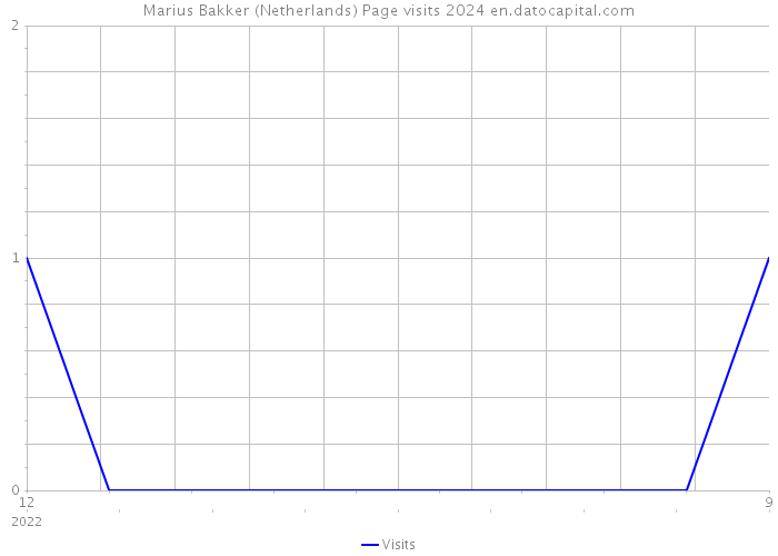 Marius Bakker (Netherlands) Page visits 2024 
