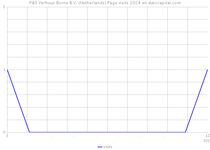 P&S Verhuur Borne B.V. (Netherlands) Page visits 2024 