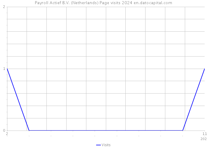 Payroll Actief B.V. (Netherlands) Page visits 2024 
