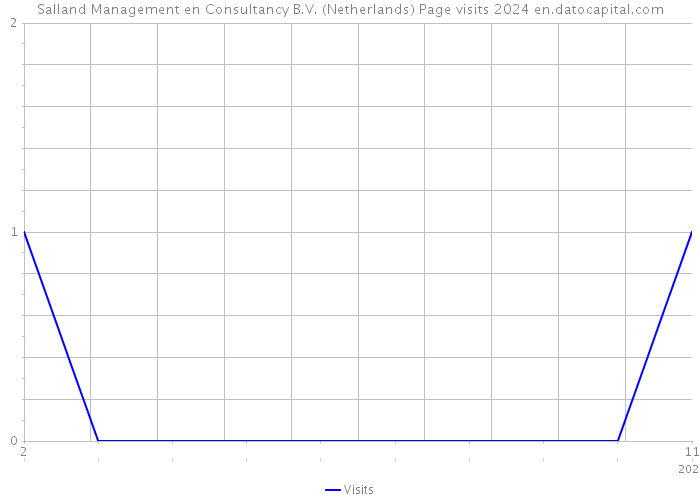Salland Management en Consultancy B.V. (Netherlands) Page visits 2024 