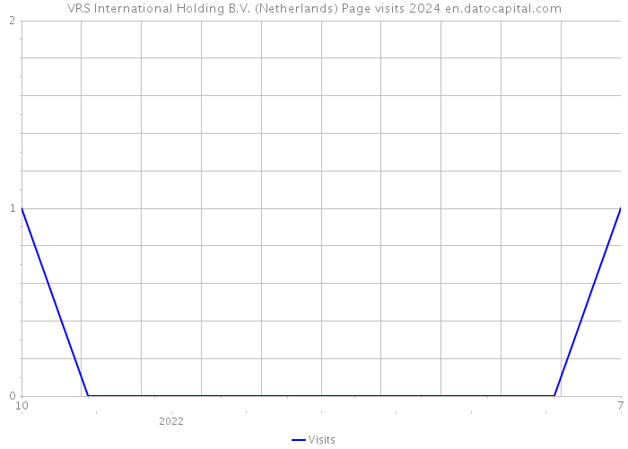 VRS International Holding B.V. (Netherlands) Page visits 2024 