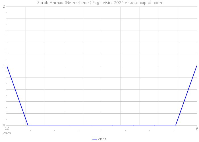 Zorab Ahmad (Netherlands) Page visits 2024 