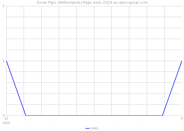 Zoran Pajic (Netherlands) Page visits 2024 