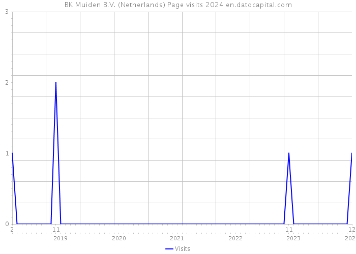 BK Muiden B.V. (Netherlands) Page visits 2024 