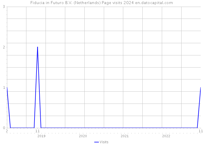 Fiducia in Futuro B.V. (Netherlands) Page visits 2024 