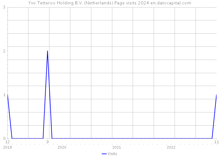 Yvo Tetteroo Holding B.V. (Netherlands) Page visits 2024 