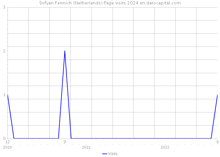 Sofyan Fennich (Netherlands) Page visits 2024 