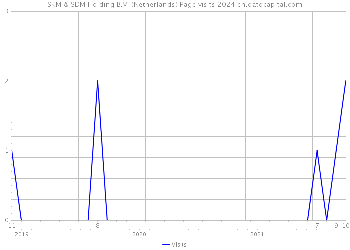 SKM & SDM Holding B.V. (Netherlands) Page visits 2024 
