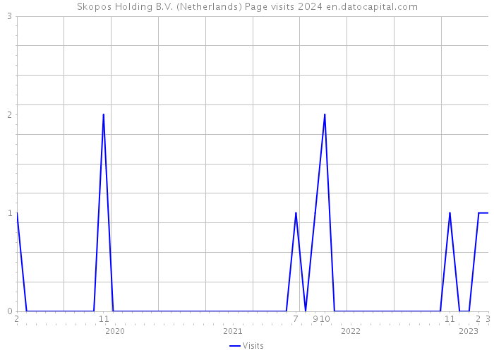 Skopos Holding B.V. (Netherlands) Page visits 2024 