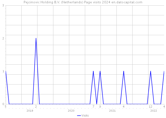 Pejcinovic Holding B.V. (Netherlands) Page visits 2024 