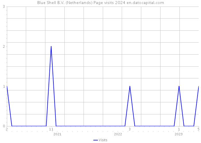 Blue Shell B.V. (Netherlands) Page visits 2024 