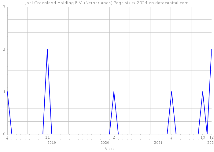 Joël Groenland Holding B.V. (Netherlands) Page visits 2024 