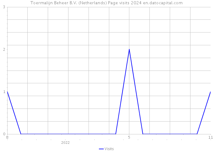 Toermalijn Beheer B.V. (Netherlands) Page visits 2024 