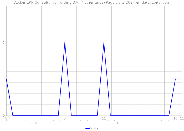 Bakker ERP Consultancy Holding B.V. (Netherlands) Page visits 2024 