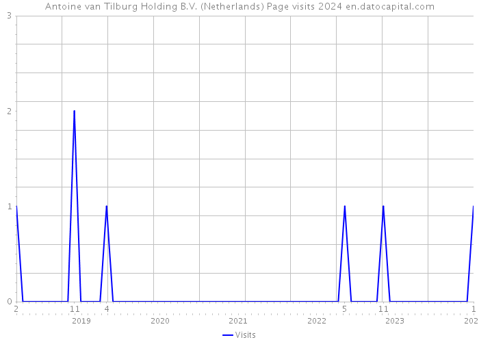 Antoine van Tilburg Holding B.V. (Netherlands) Page visits 2024 
