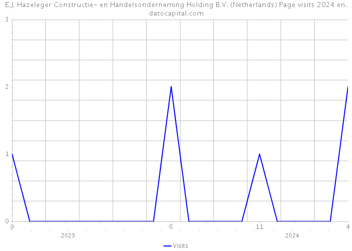 E.J. Hazeleger Constructie- en Handelsonderneming Holding B.V. (Netherlands) Page visits 2024 