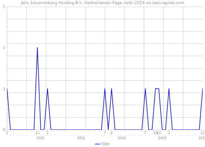 Jelle Scherrenberg Holding B.V. (Netherlands) Page visits 2024 