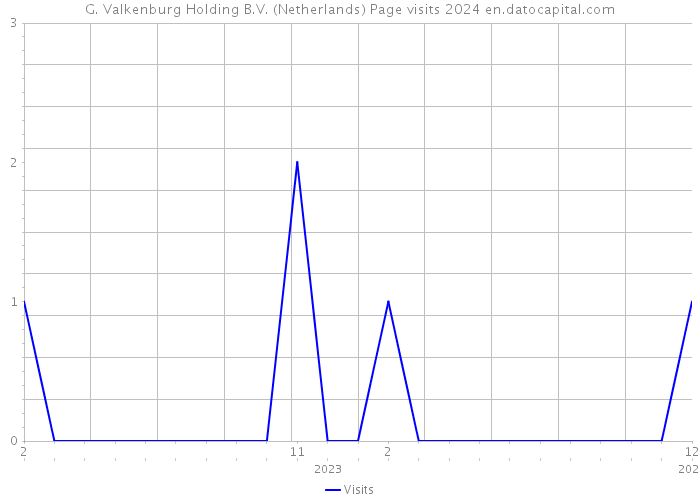 G. Valkenburg Holding B.V. (Netherlands) Page visits 2024 
