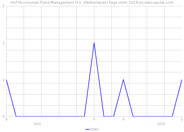 Hof Hoorneman Fund Management N.V. (Netherlands) Page visits 2024 
