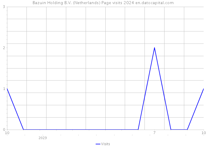 Bazuin Holding B.V. (Netherlands) Page visits 2024 