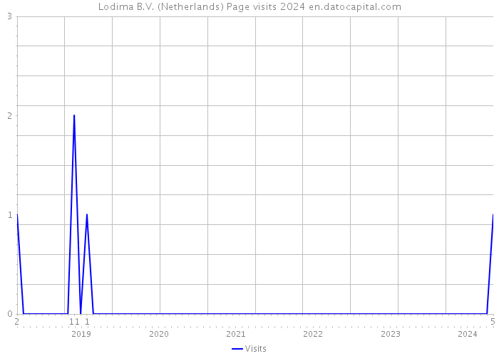 Lodima B.V. (Netherlands) Page visits 2024 