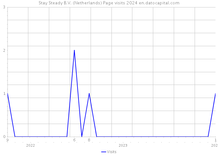 Stay Steady B.V. (Netherlands) Page visits 2024 