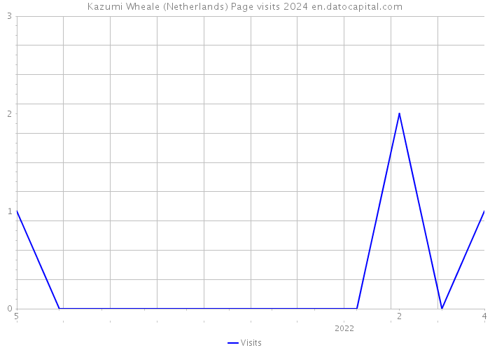 Kazumi Wheale (Netherlands) Page visits 2024 