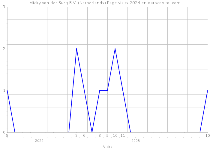 Micky van der Burg B.V. (Netherlands) Page visits 2024 