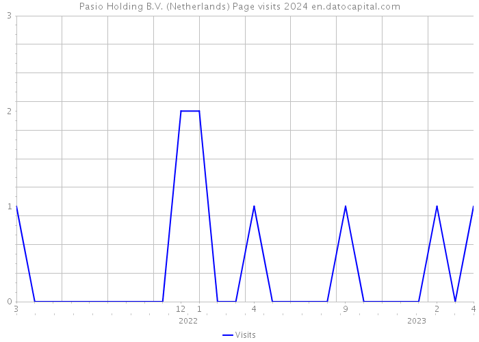 Pasio Holding B.V. (Netherlands) Page visits 2024 