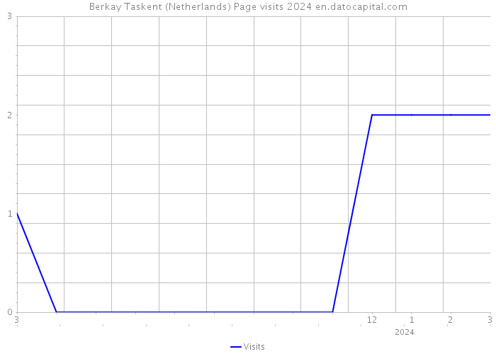 Berkay Taskent (Netherlands) Page visits 2024 