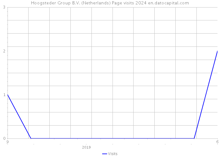 Hoogsteder Group B.V. (Netherlands) Page visits 2024 