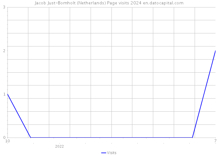 Jacob Just-Bomholt (Netherlands) Page visits 2024 