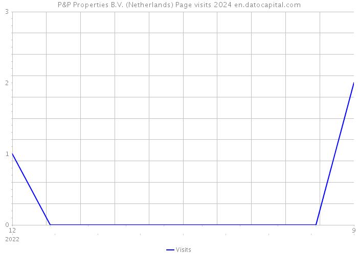 P&P Properties B.V. (Netherlands) Page visits 2024 