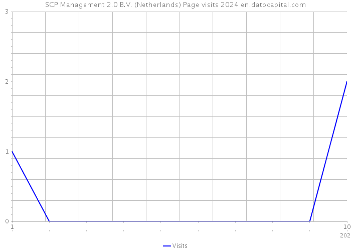 SCP Management 2.0 B.V. (Netherlands) Page visits 2024 