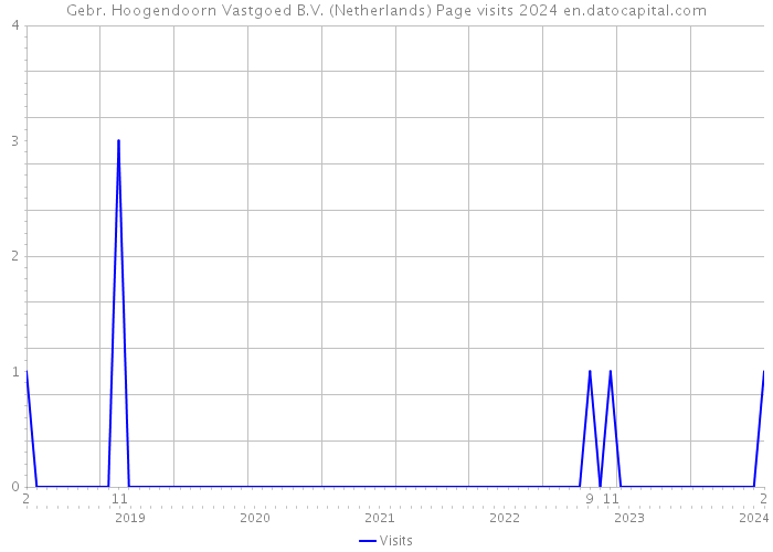 Gebr. Hoogendoorn Vastgoed B.V. (Netherlands) Page visits 2024 