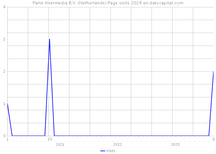 Parte Intermedia B.V. (Netherlands) Page visits 2024 