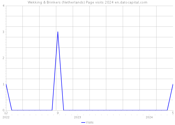 Wekking & Brinkers (Netherlands) Page visits 2024 