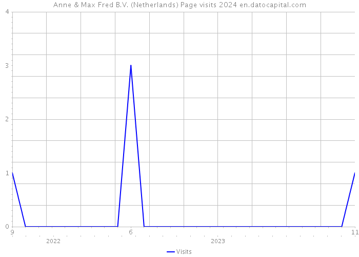 Anne & Max Fred B.V. (Netherlands) Page visits 2024 