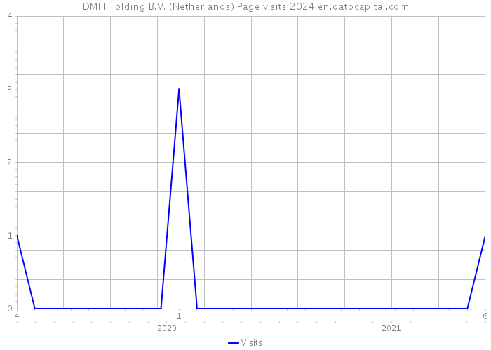DMH Holding B.V. (Netherlands) Page visits 2024 