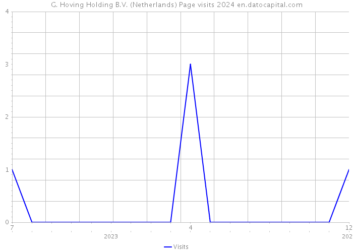 G. Hoving Holding B.V. (Netherlands) Page visits 2024 