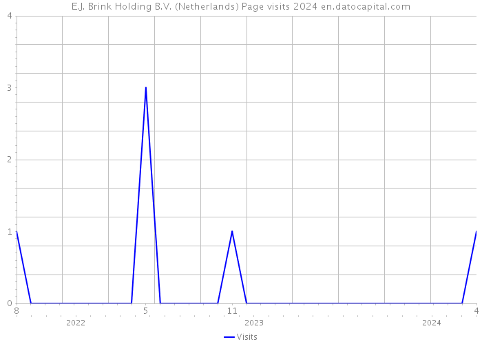 E.J. Brink Holding B.V. (Netherlands) Page visits 2024 