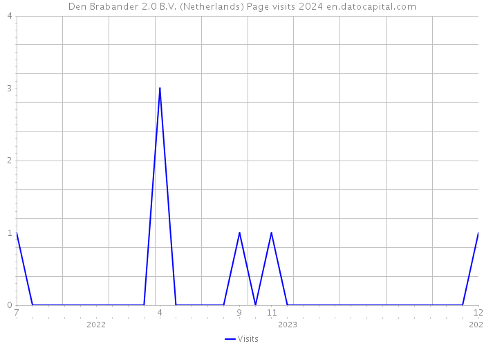 Den Brabander 2.0 B.V. (Netherlands) Page visits 2024 