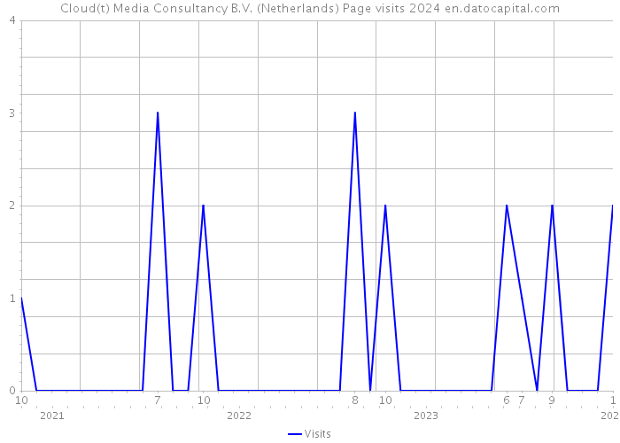 Cloud(t) Media Consultancy B.V. (Netherlands) Page visits 2024 