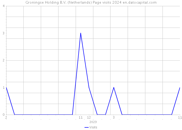Groningse Holding B.V. (Netherlands) Page visits 2024 