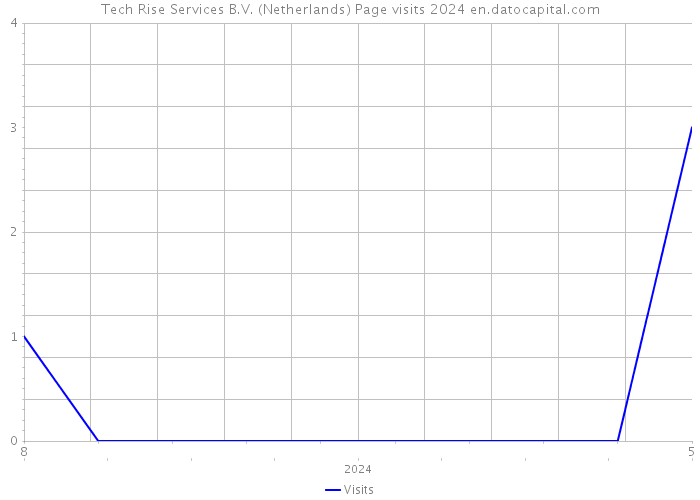 Tech Rise Services B.V. (Netherlands) Page visits 2024 